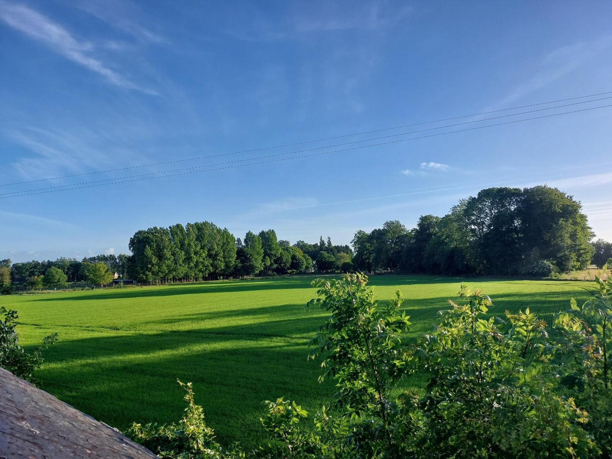 Gasthof Les Jacquemarts Normands -